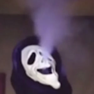 Meet your Posher, Evelin